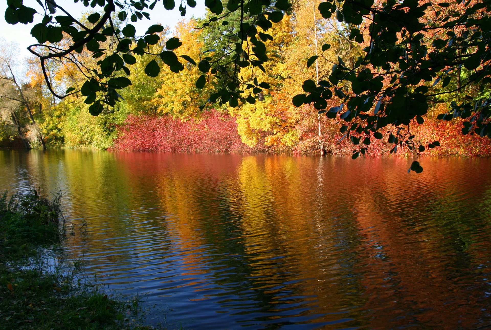 nature automne rivière