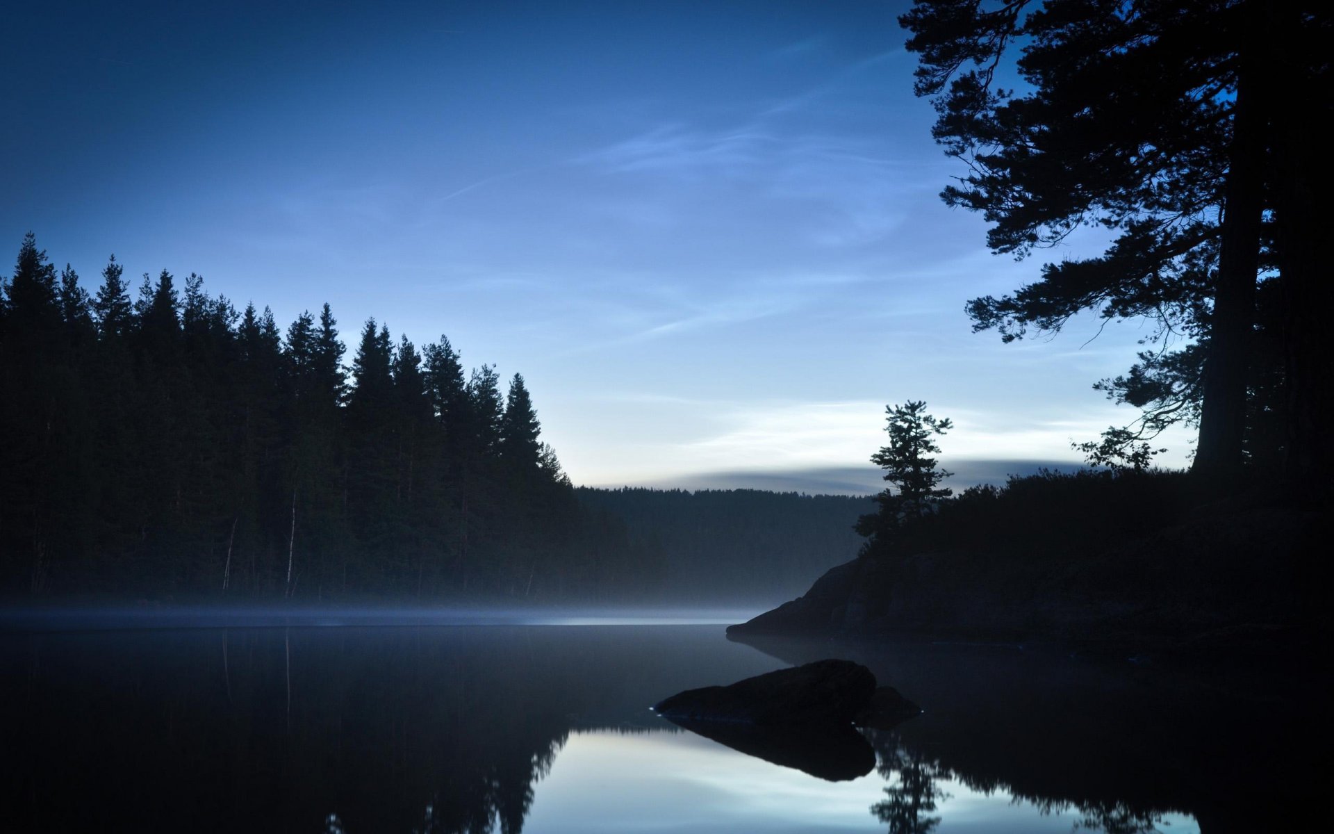 lago alberi foresta giorno o notte