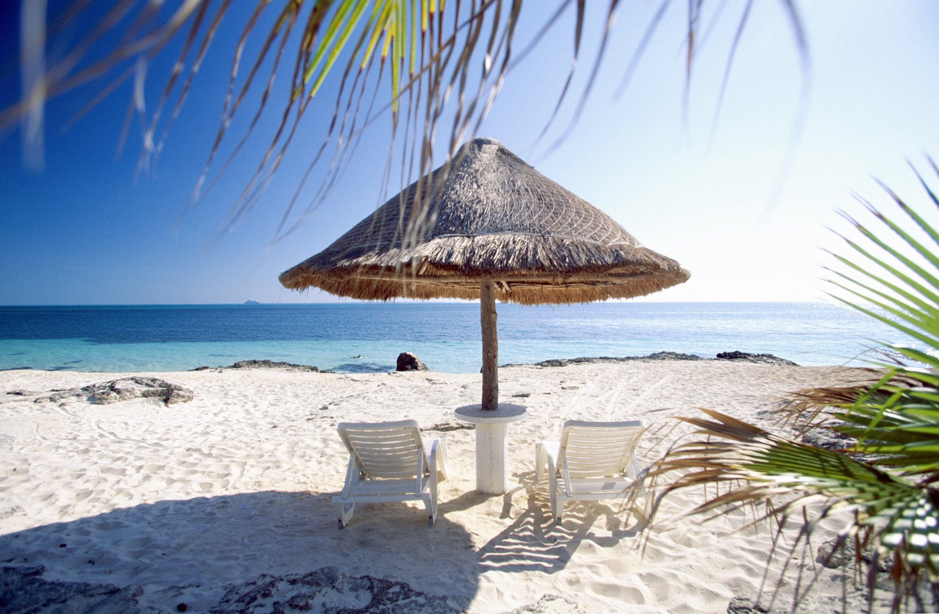 plage sable palmiers