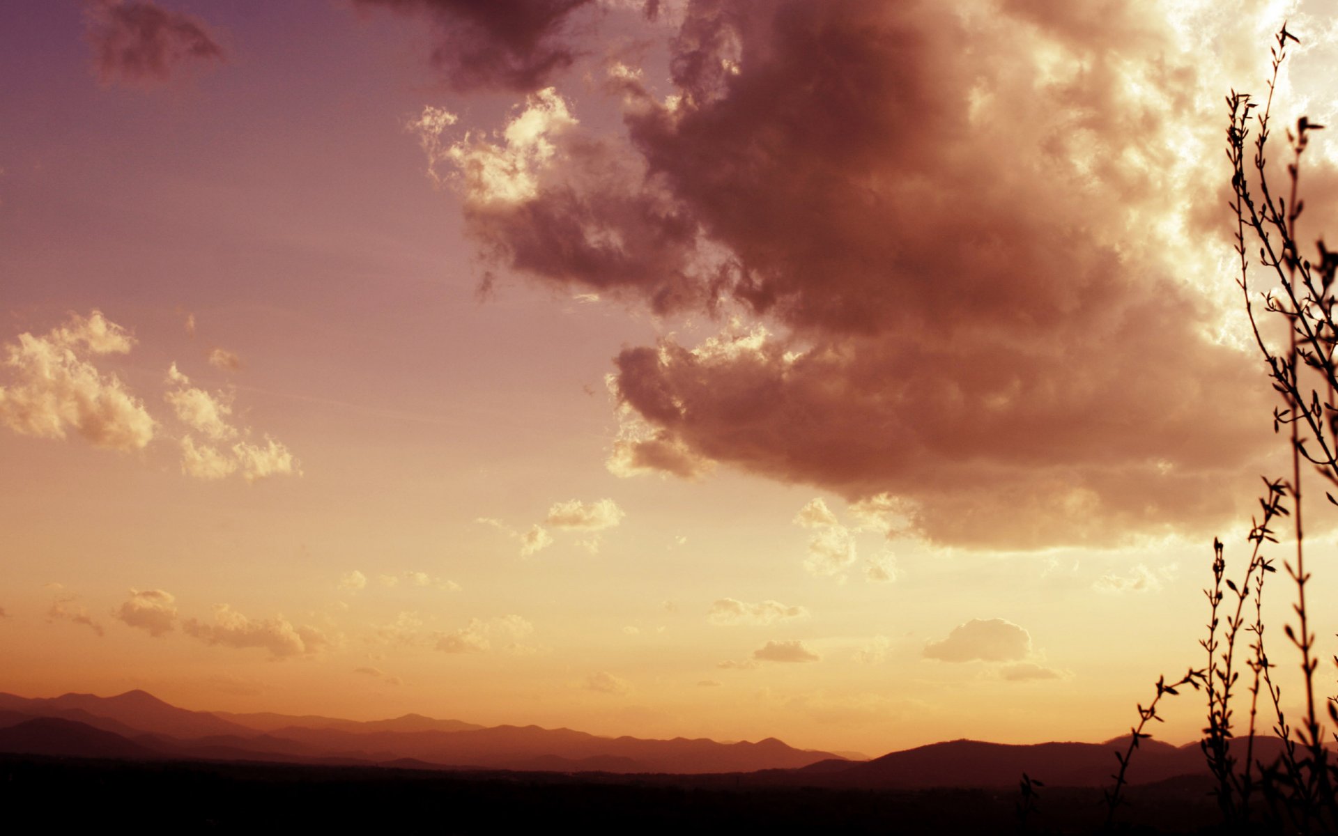 paysage vue nature plantes herbe ciel nuages