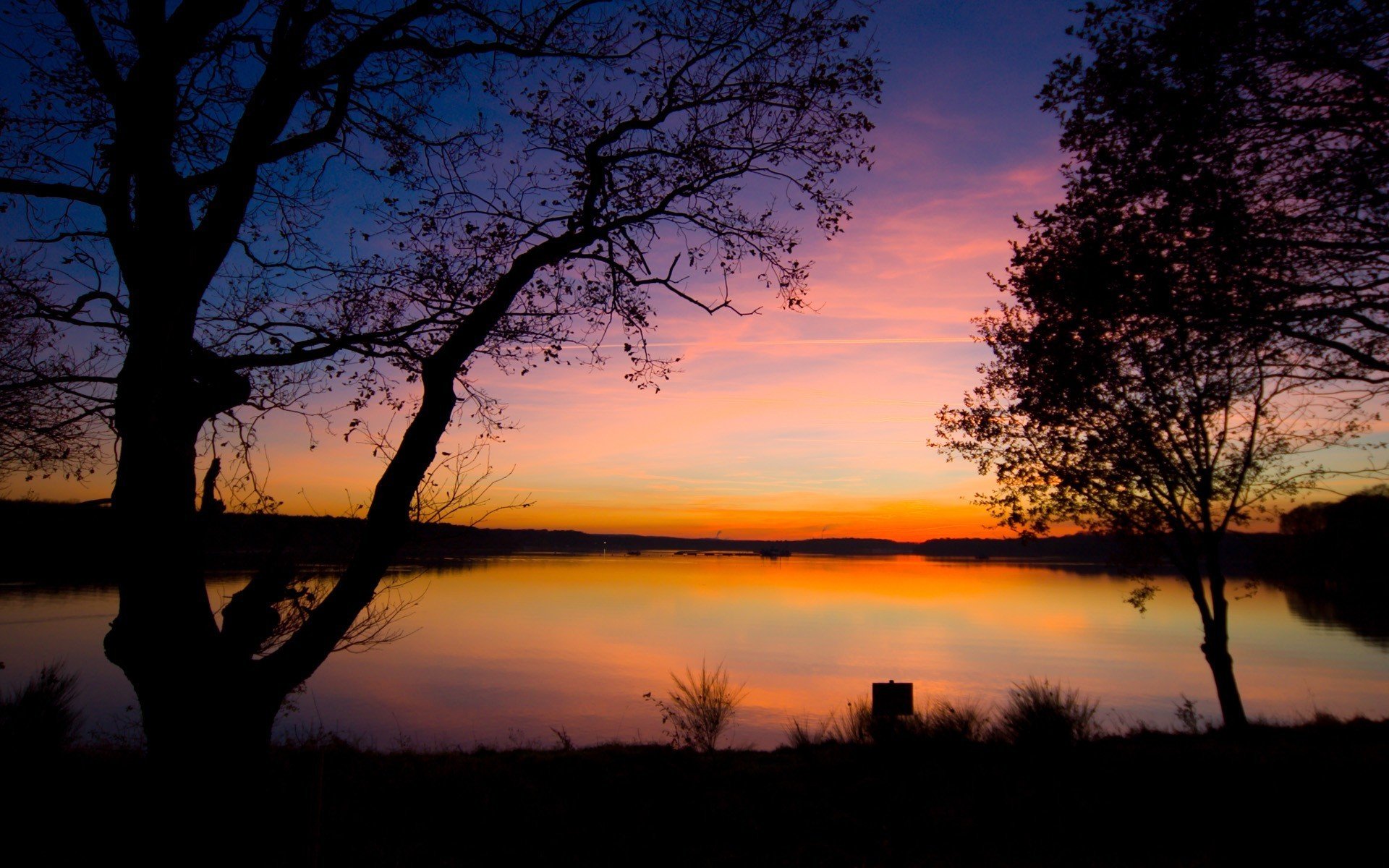 puesta de sol lago árboles