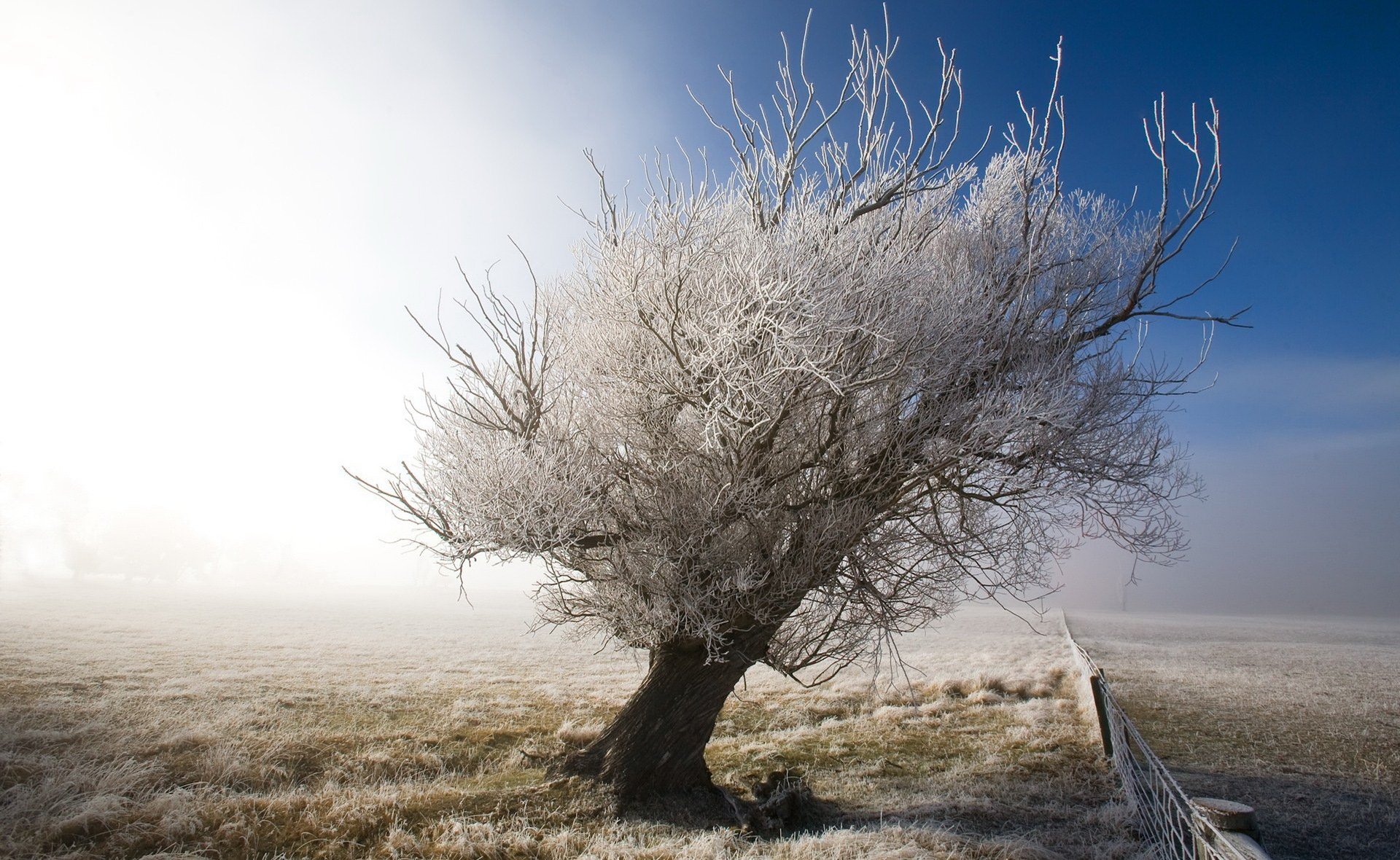 landschaft baum winter schnee zaun