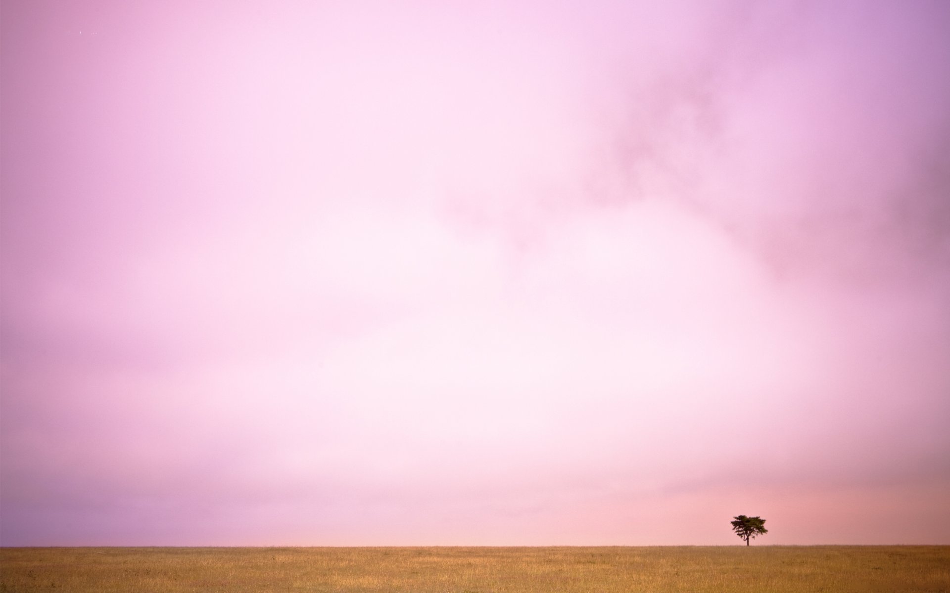 paesaggio albero valle campo