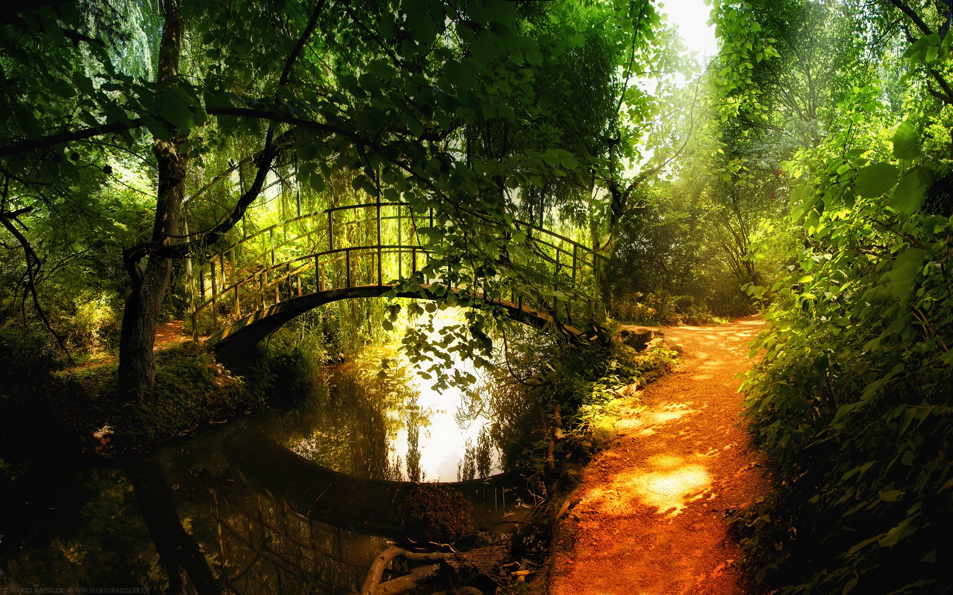 forêt.pont rivière réflexion