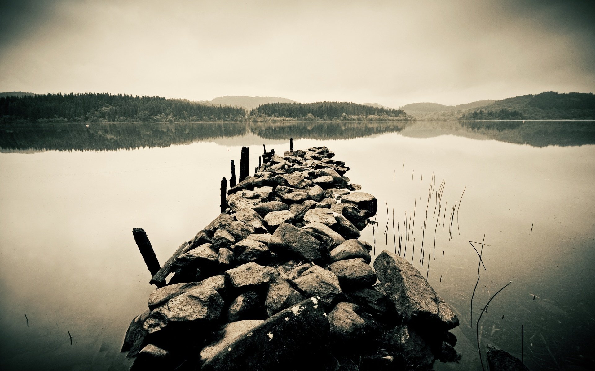 pierres horizon forêt