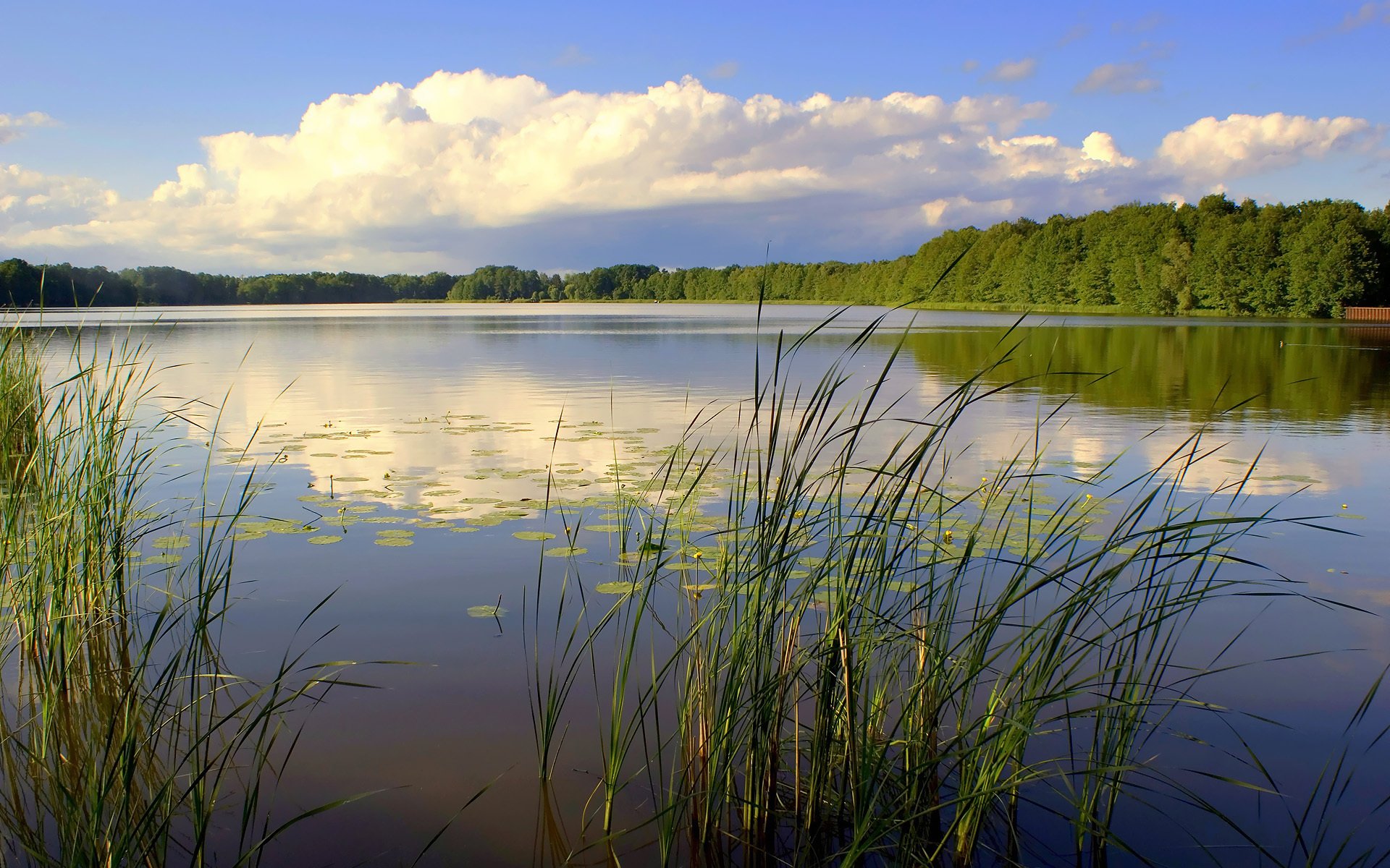 landscape river nature sky forest