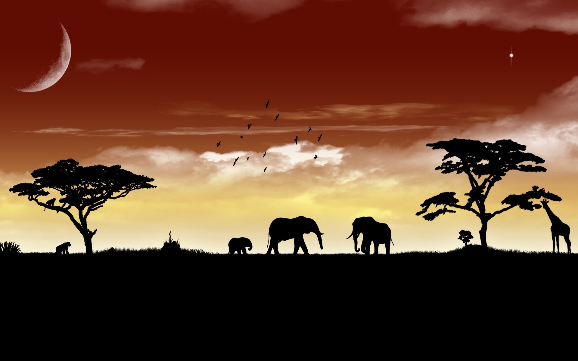 avanna landscape animals beasts sky elephant