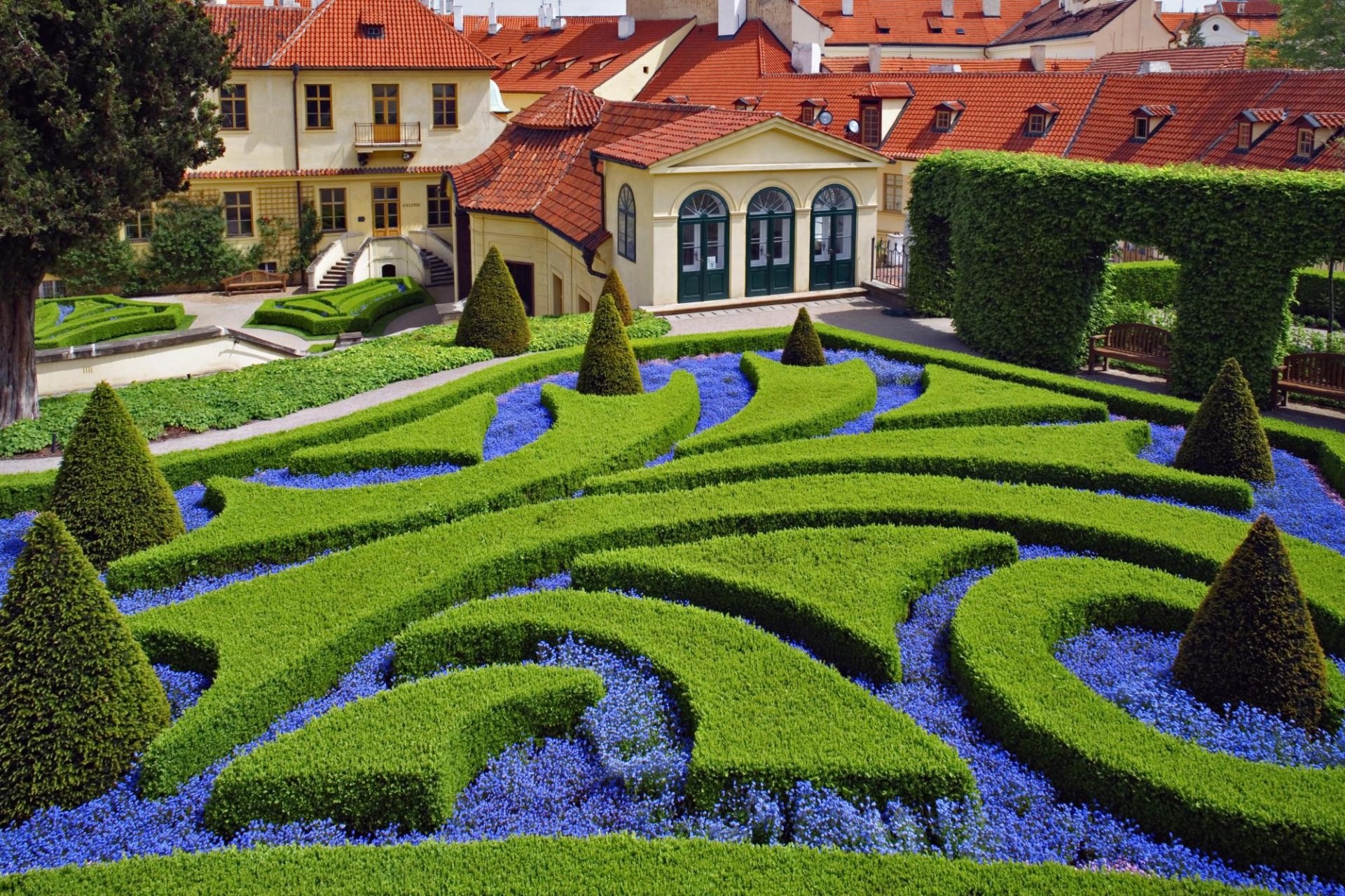 giardino case fiori archi vegetazione