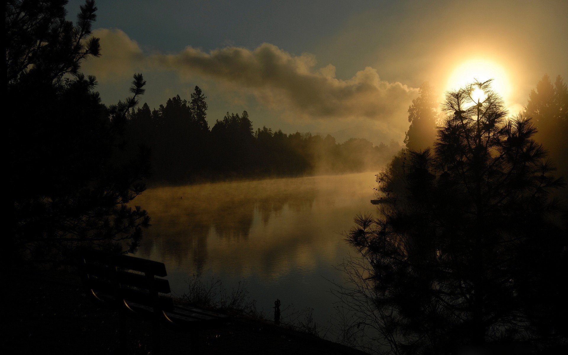 bench river tree sun sky clouds landscape