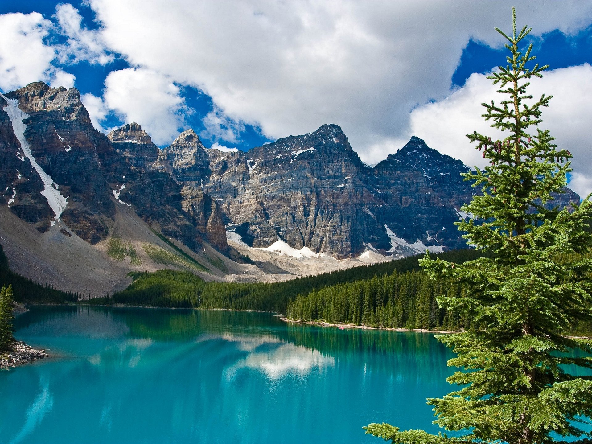 lake mountain spruce forest