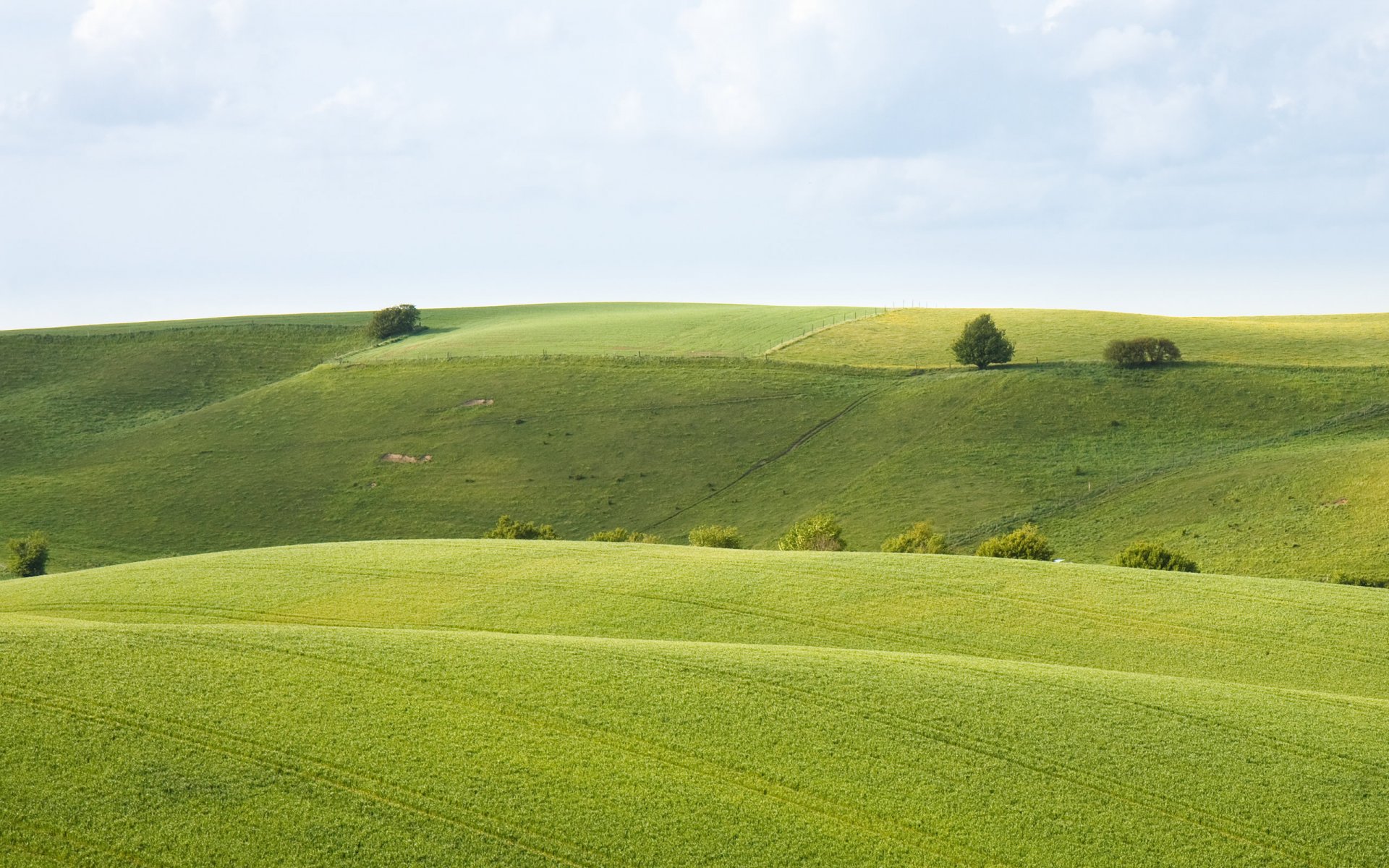 field nature field