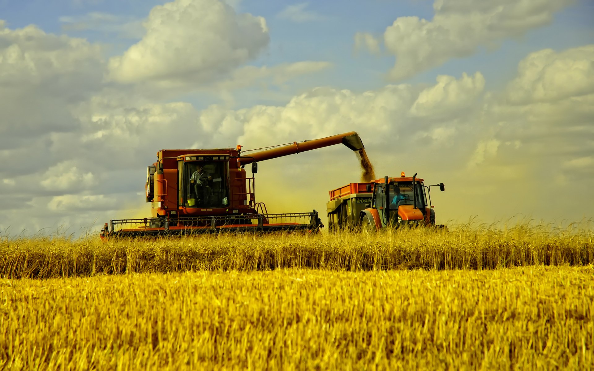 foin champ blé champs herbe automne récolte machines paysage