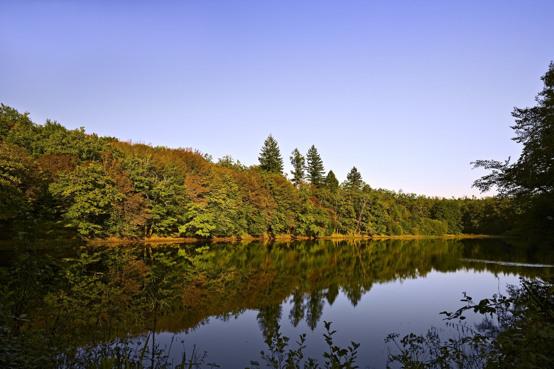 natur landschaft ansicht fluss bäume himmel