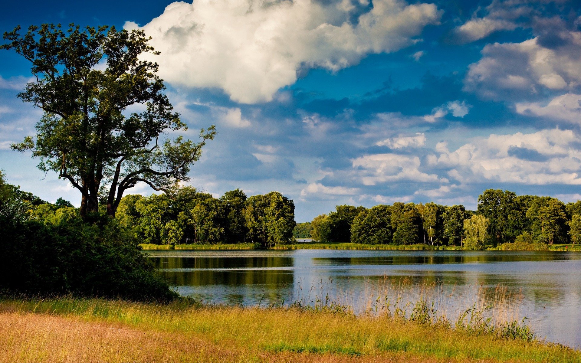 fiume acqua natura paesaggio albero erba cielo