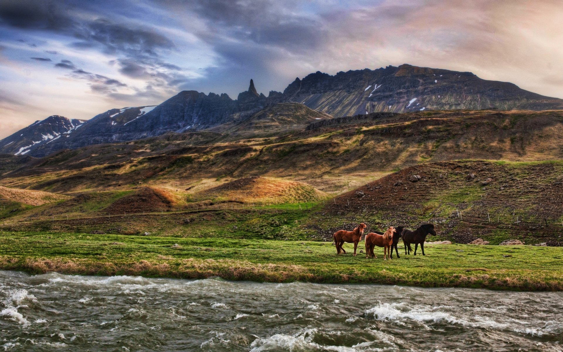 pferde fluss berge wolken