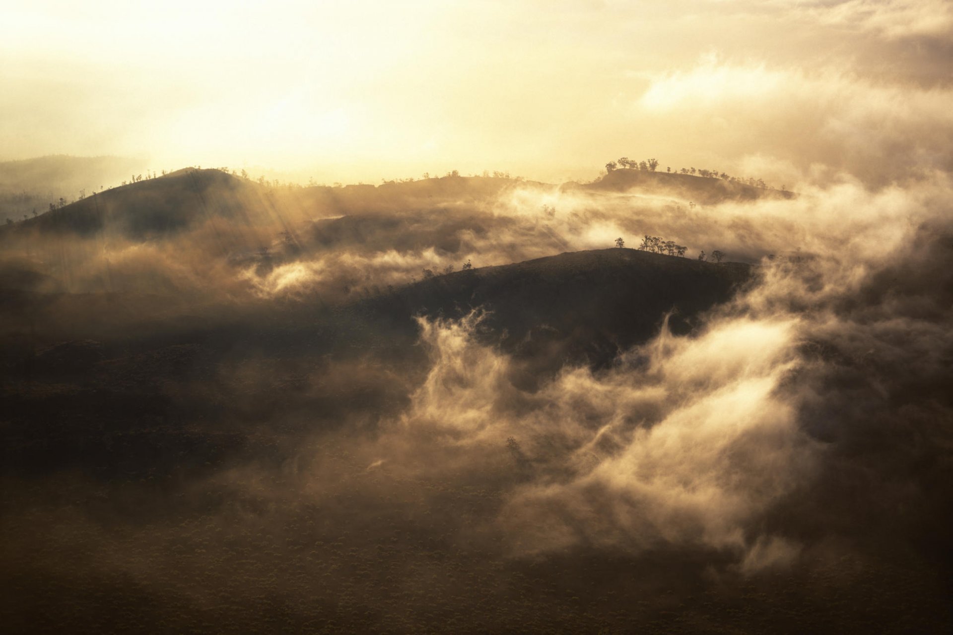 montañas árboles bajo nubes