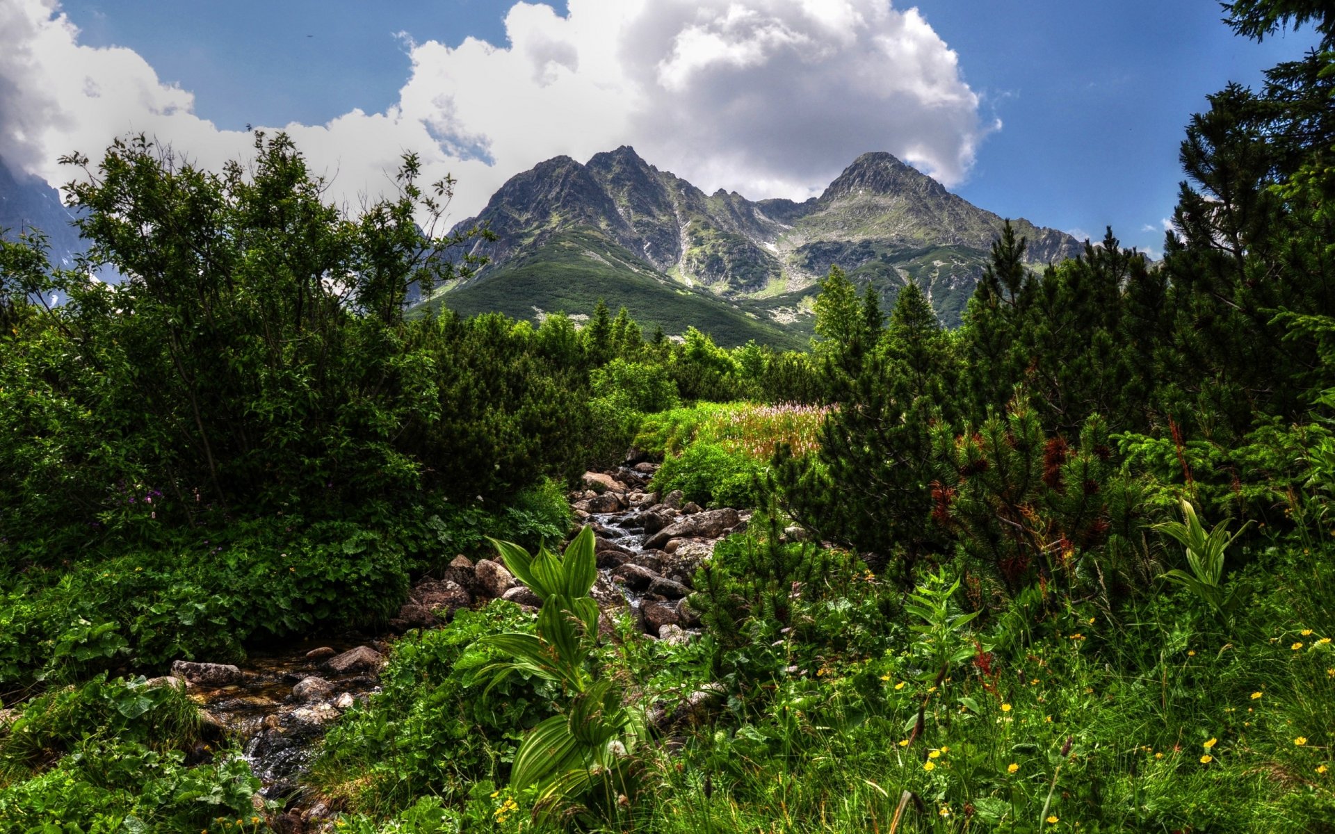 горы зелень hdr