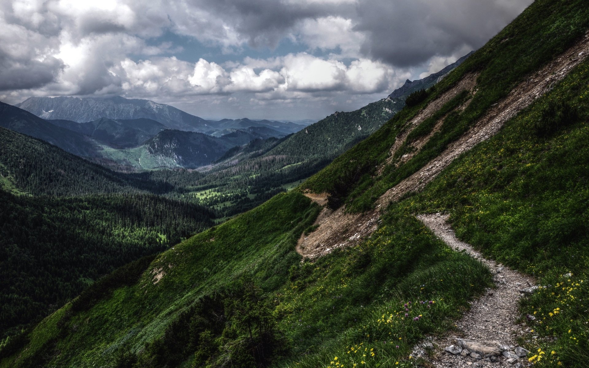 góry zieleń hdr tatry