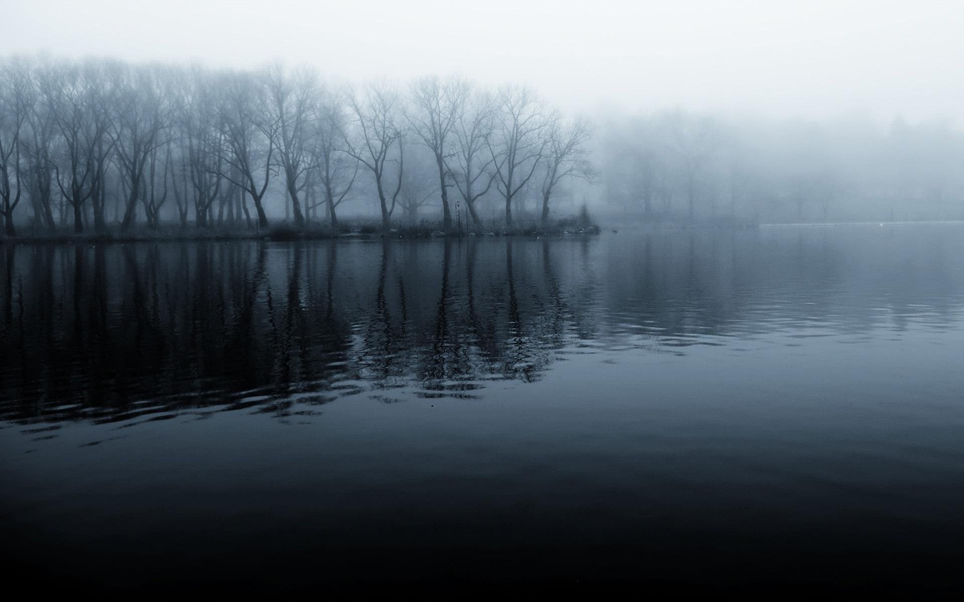 río orilla bosque mañana niebla fresco