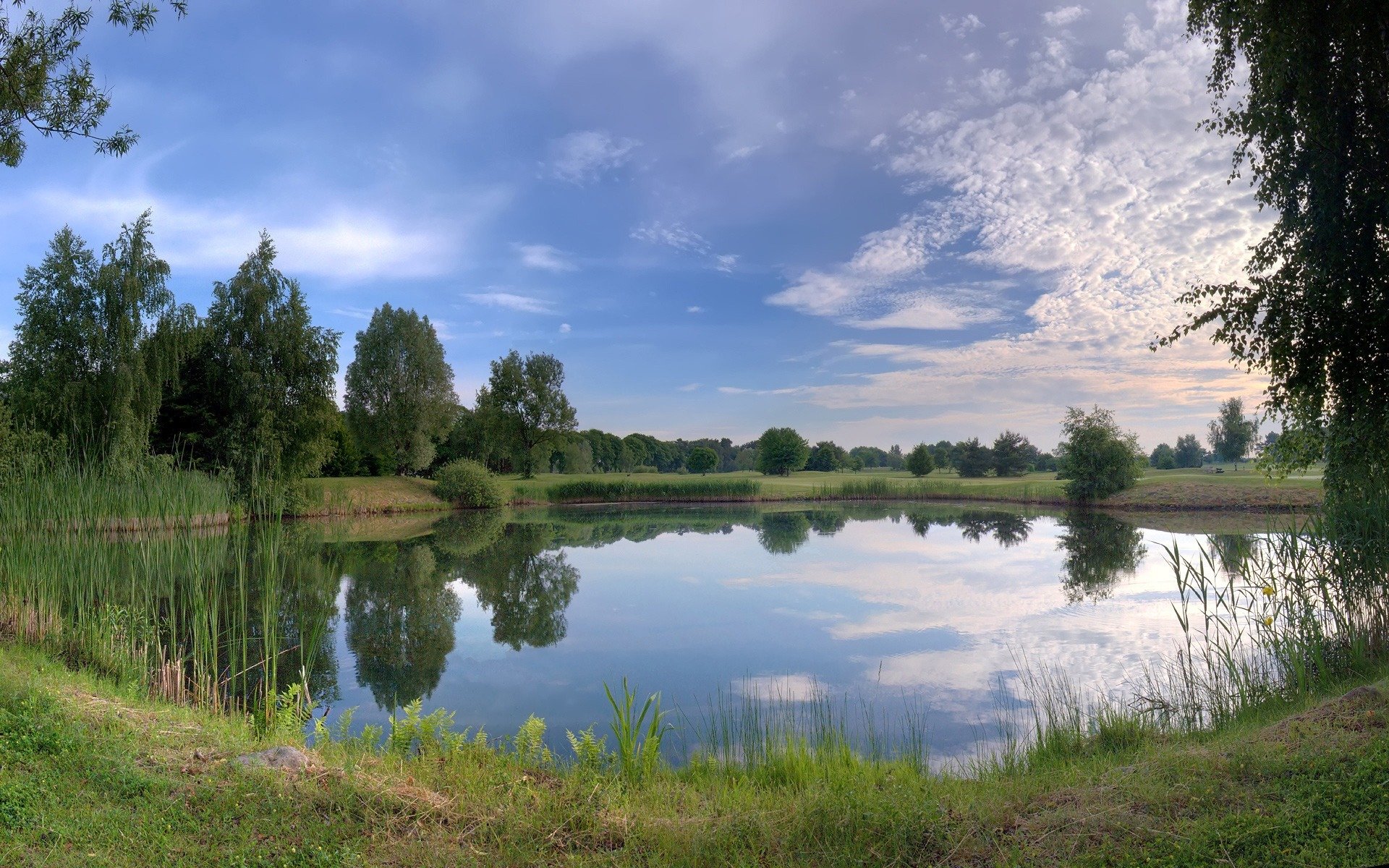 jezioro trawa stok natura niebo