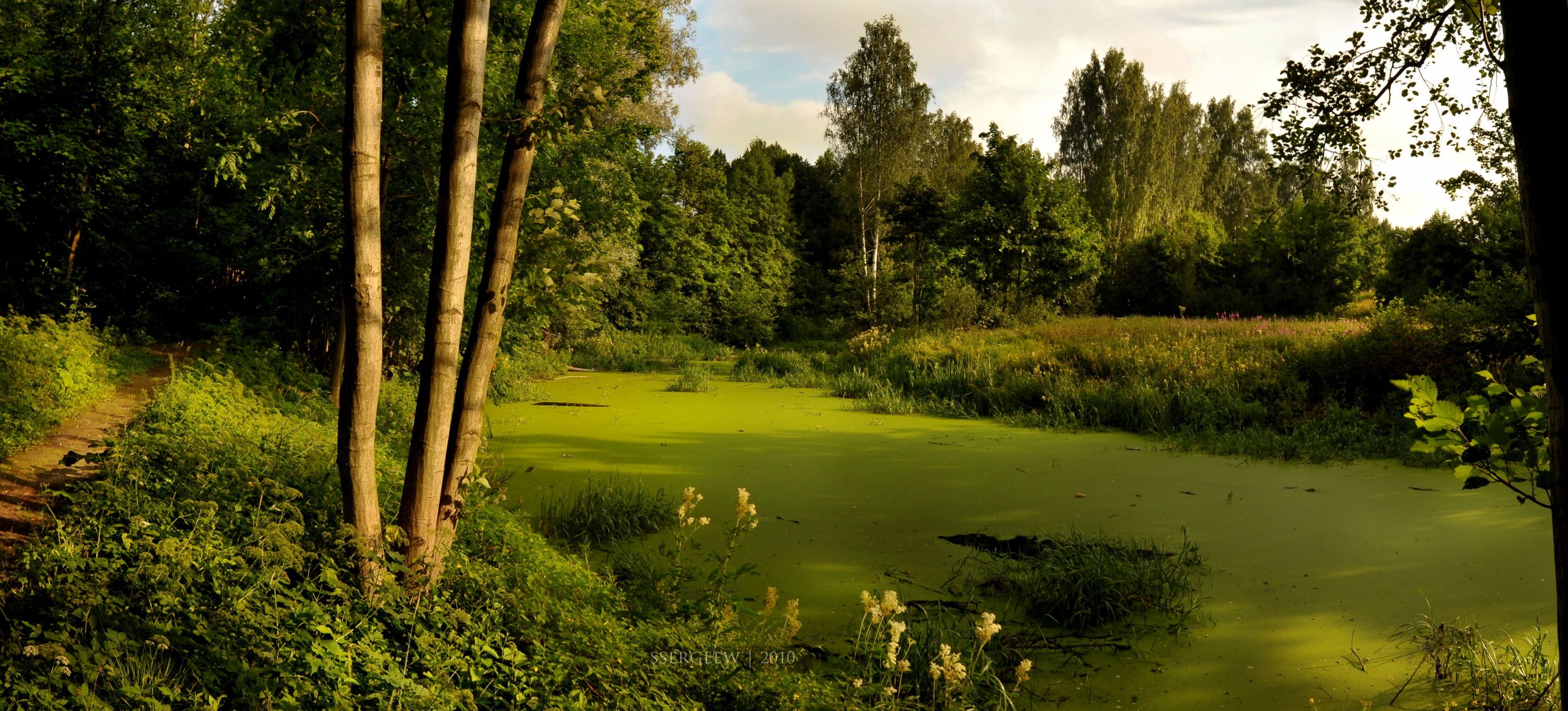 erg-sergeew fiume alberi foresta