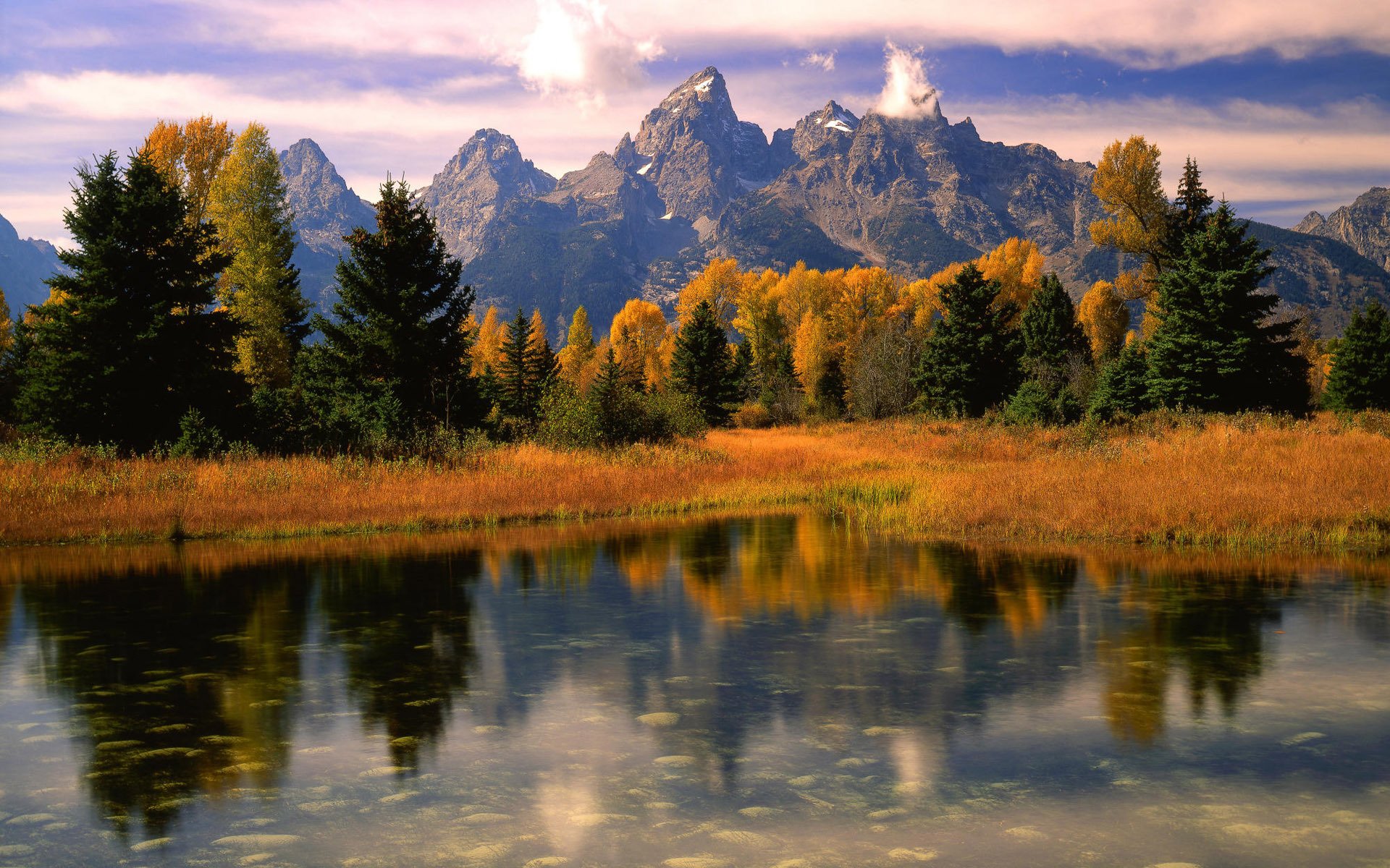 gras wald berge sauberkeit