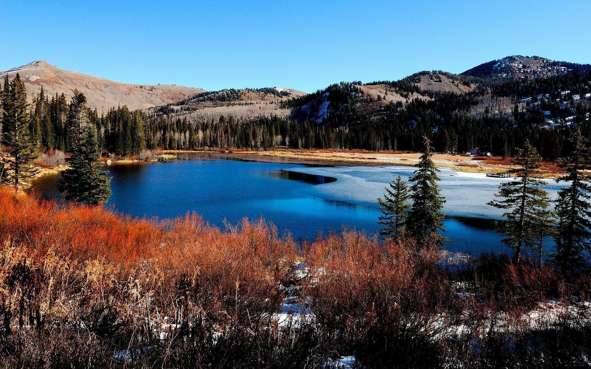 río hielo orillas bosque montañas