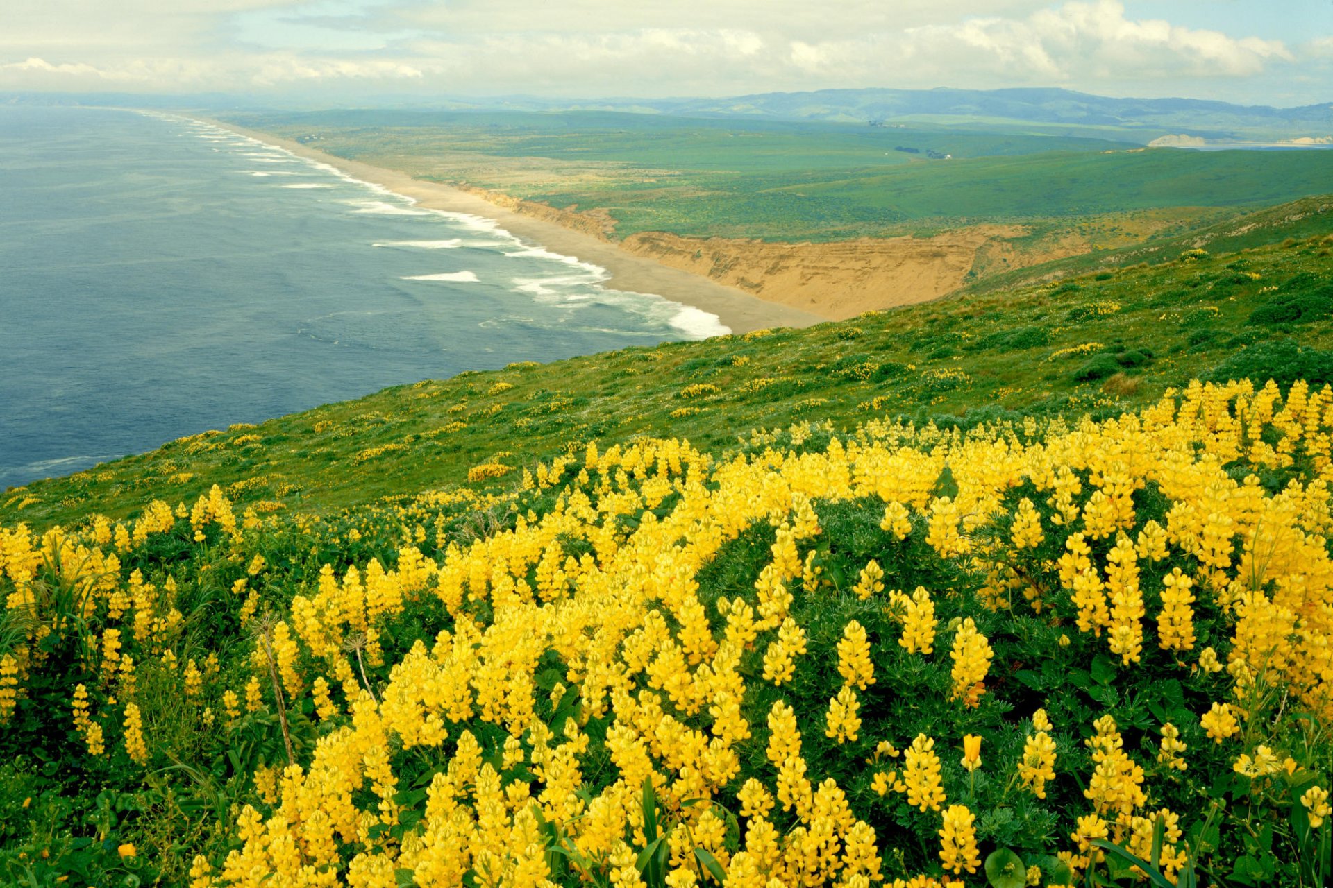 california landscape nature ocean