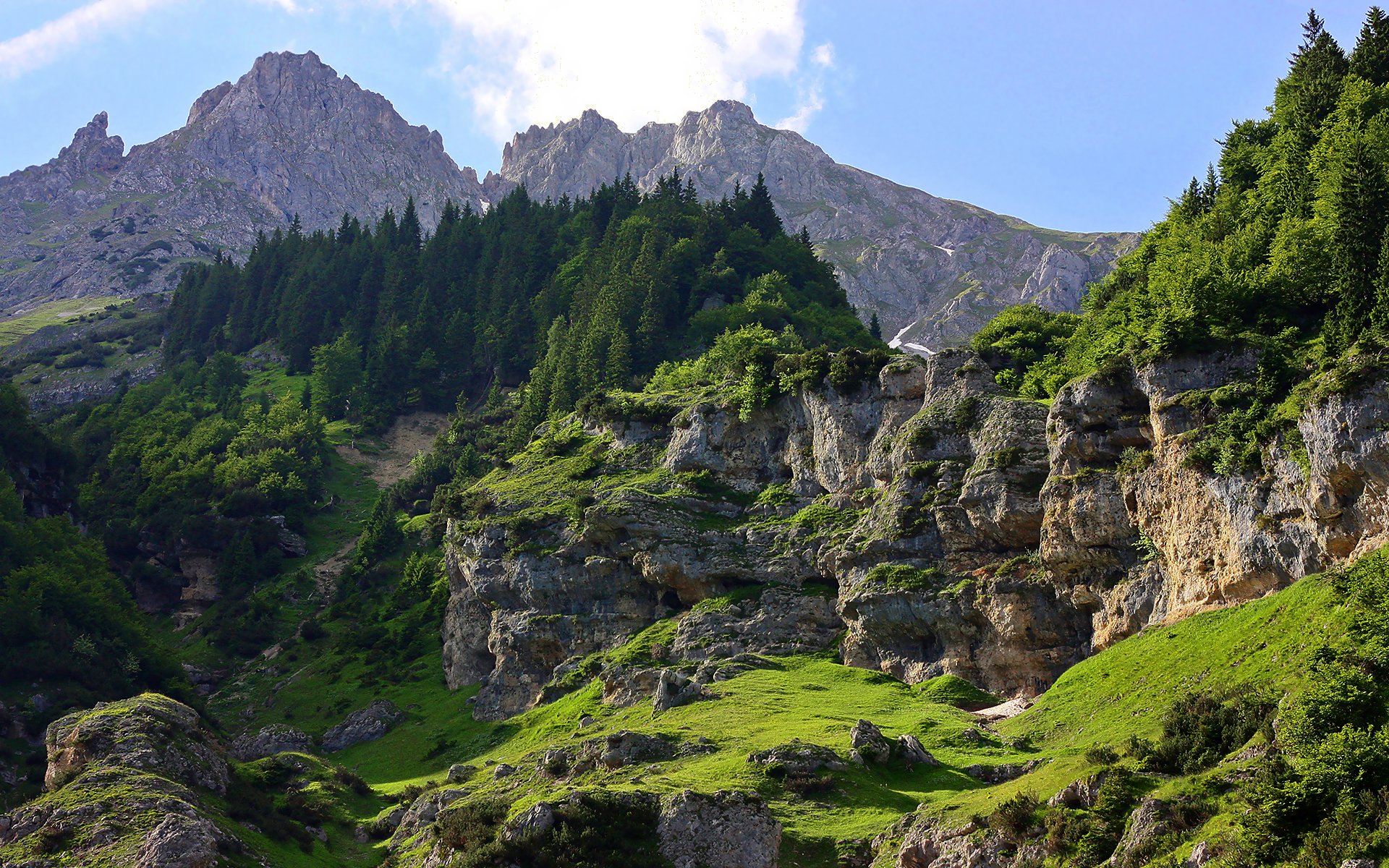 berge kami felsen wald bäume