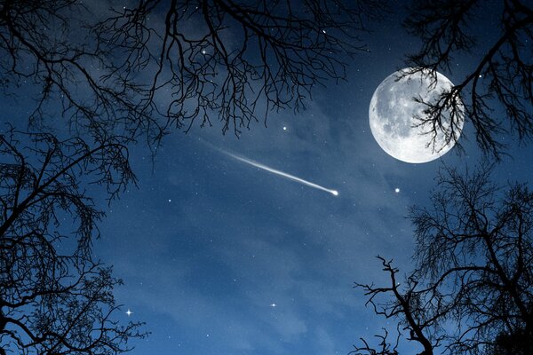 Cielo nocturno con Luna y estrellas