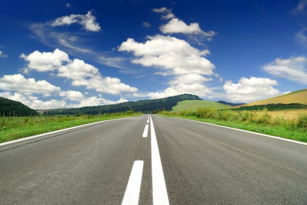 Strada automobilistica nel campo con gli alberi