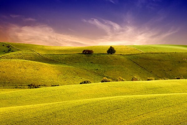 Bright, juicy, green hills and fields