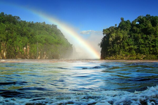 Green trees covered with a bright rainbow