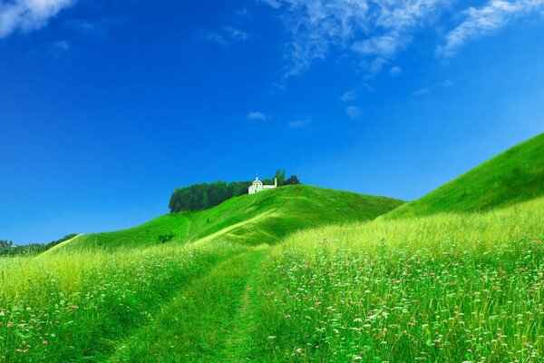 A view of a gently green meadow turning into the sky at the edge of the church is visible