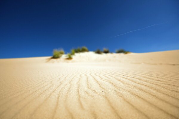 Sandlandschaft in Afrikas Wüste