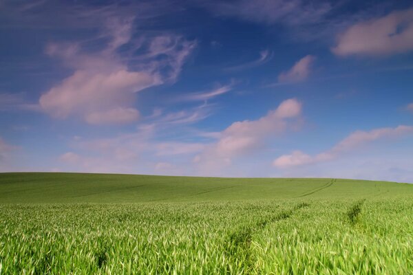 Hermoso campo con un cielo tranquilo