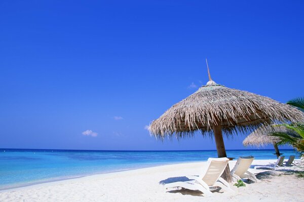 Sandy beach with white sand by the sea