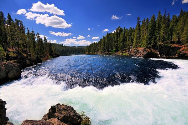 Rápidos del río en el parque nacional de Yellowstone