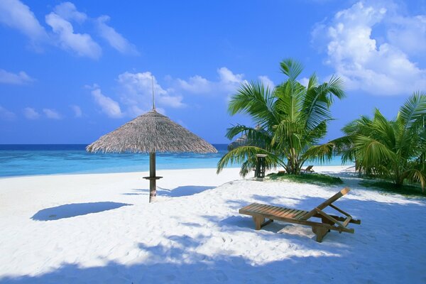 Playa paradisíaca con palmeras