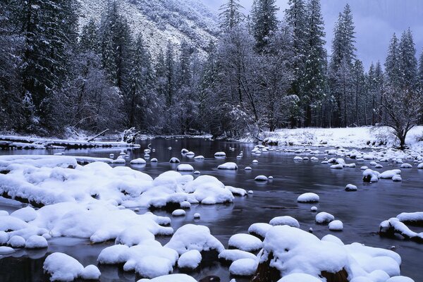 Ruscello di montagna tra la neve sullo sfondo della foresta