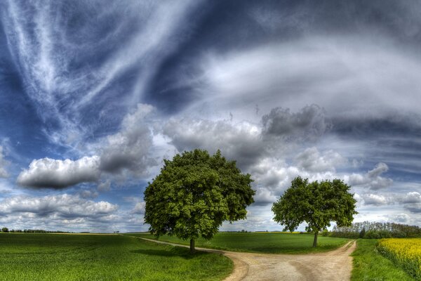 La route passe en deux chemins et autour des arbres champ et beauté