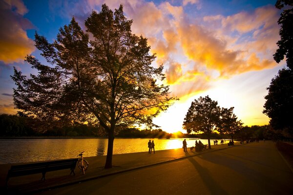 People are walking in the park against the sunset