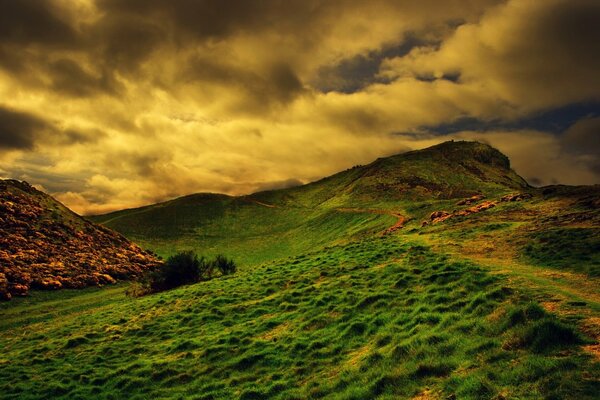 Bright green grass on a hill, against the sky