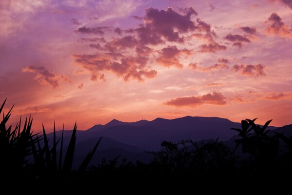 La montagne est petite, les roseaux et le coucher de soleil