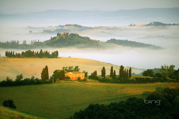 Champs verts dans les arbres, les collines couvertes de brouillard sont Visibles