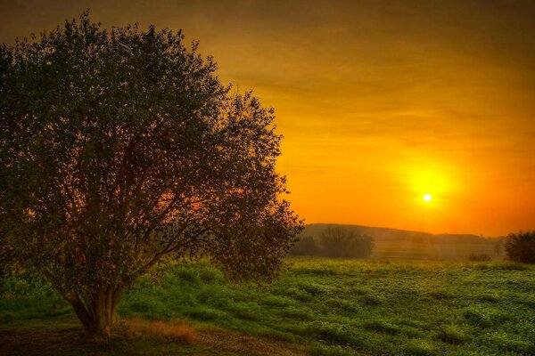 Conocer la puesta de sol en el campo es un placer especial