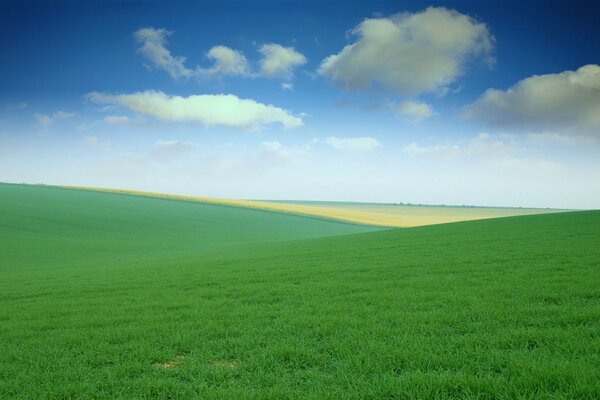 Grüne Wiese auf bewölktem Himmel Hintergrund