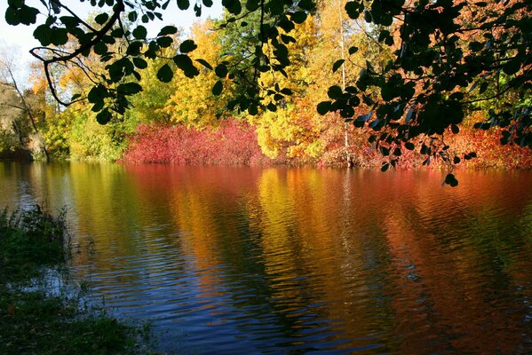 La natura in autunno è particolarmente ricca di colori