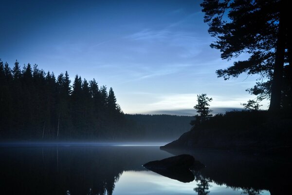 Noche y ver el lago con el bosque