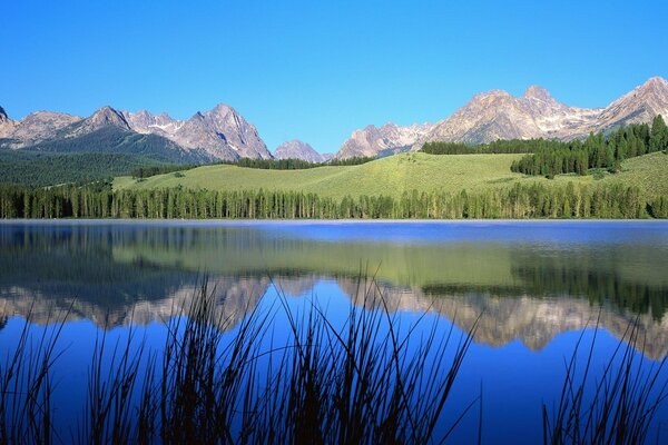 Mountain river in a green valley